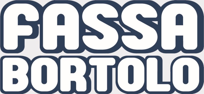 Logo Socio FASSA S.R.L.