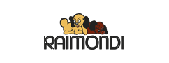 logo_raimondi_partner
